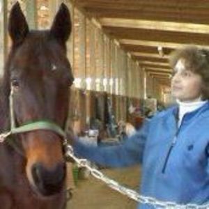 Meet your Posher, Donna